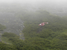 Stevens crashed plane Stevens crashed plane